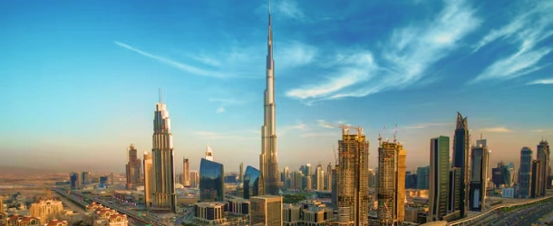 dubail image